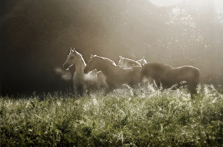 Poster Yesterday morning