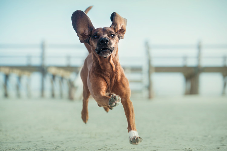 Canvas Print ....up, up to the sky....