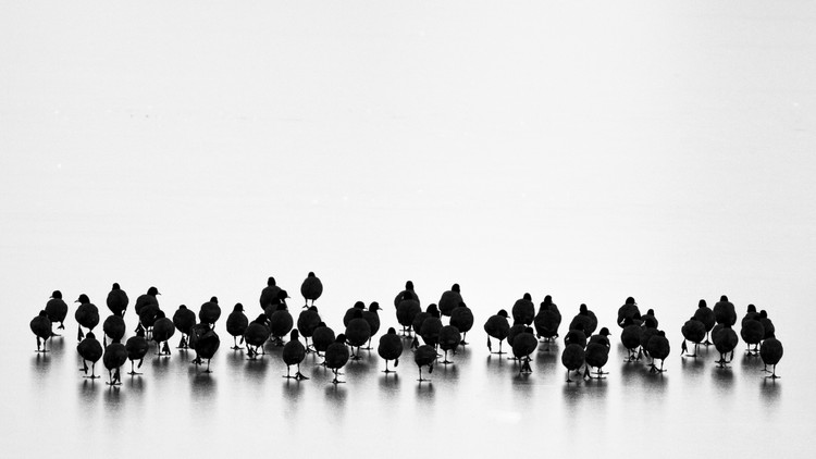 Canvas Print Untitled