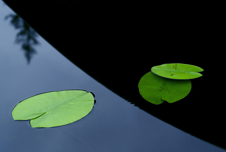 Canvas Print In the shade off a boat.