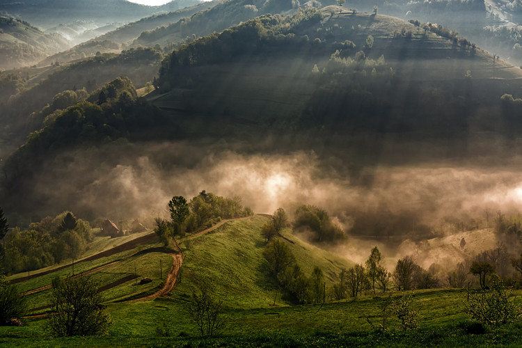 Plakát Morning fog