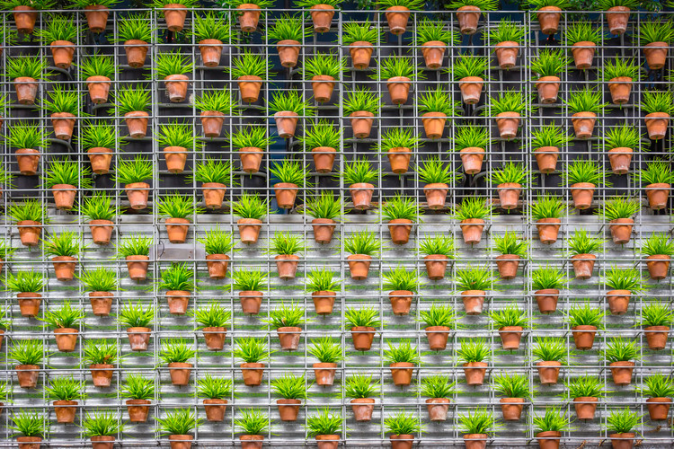 Canvas Print I had a dream tonight