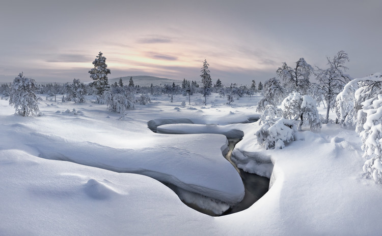 Canvas Print Lapland