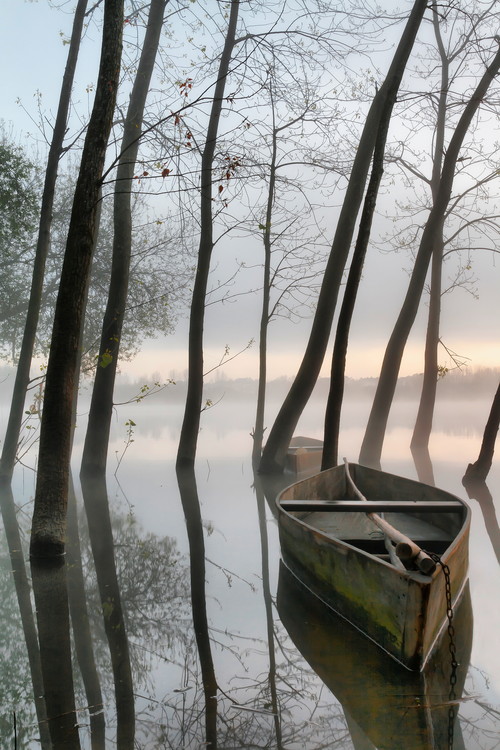 Poster Serene Dawn