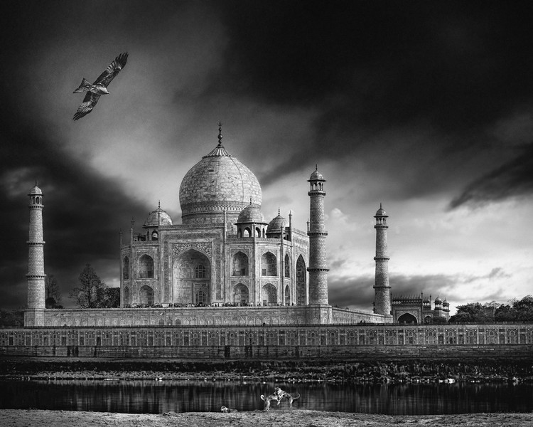 Poster the banks of the Jamuna river