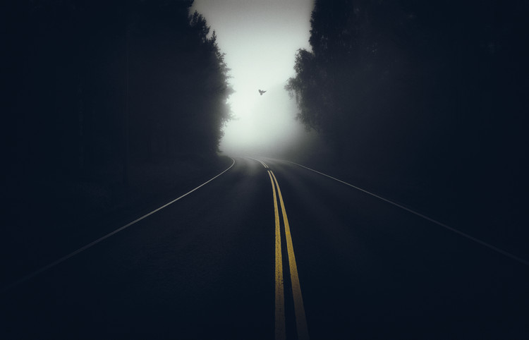 Canvas Print High Way