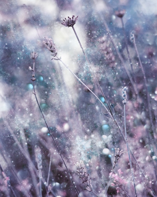 Poster Invitation do Dreams