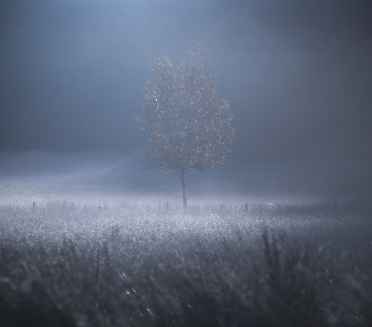 Levně Plakát, Obraz - A memory of Light, david ahern, 40 × 35.2 cm