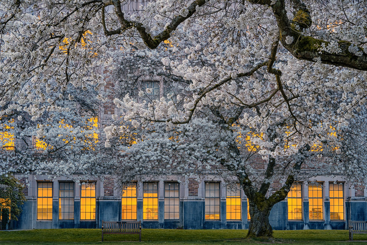Poster Morning at University of Washington