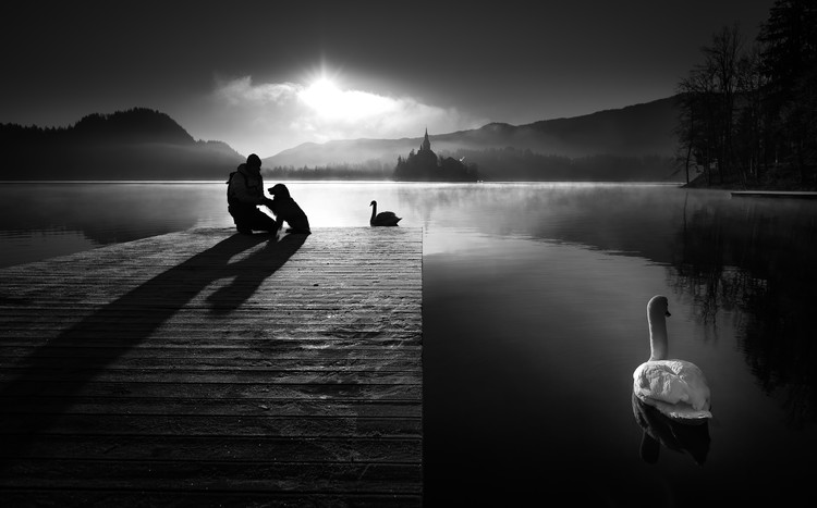 Sticker A peaceful morning at the lake