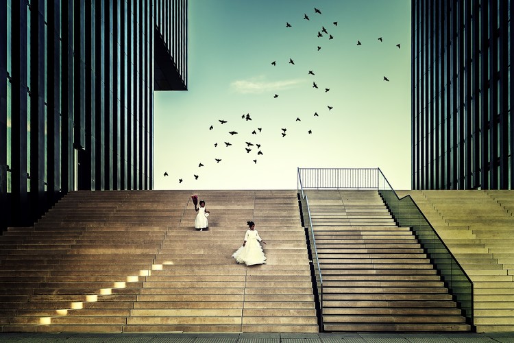 Poster Free like a bird...