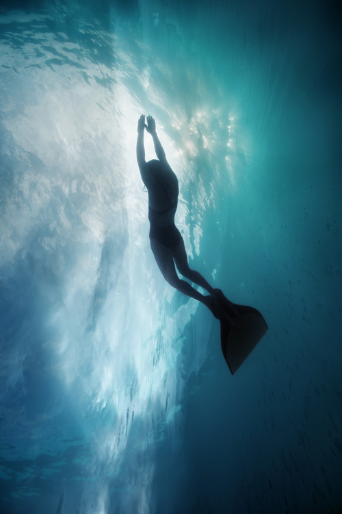 Canvas Print Sky dive