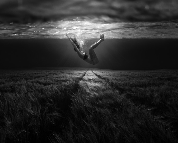 Juliste Underwaterlandream