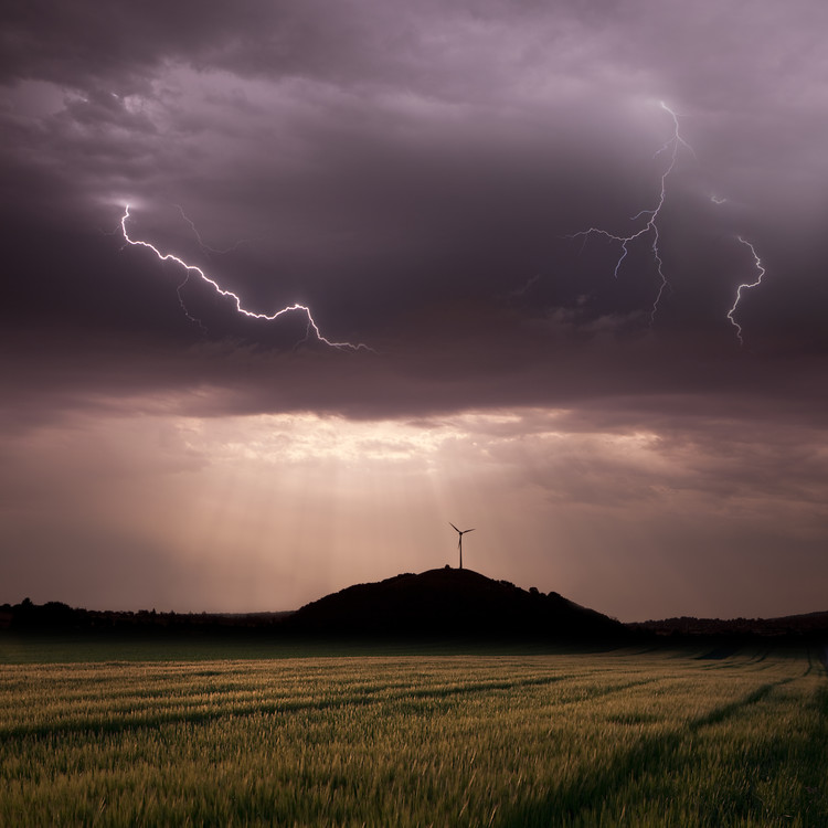 Poster Morning Light