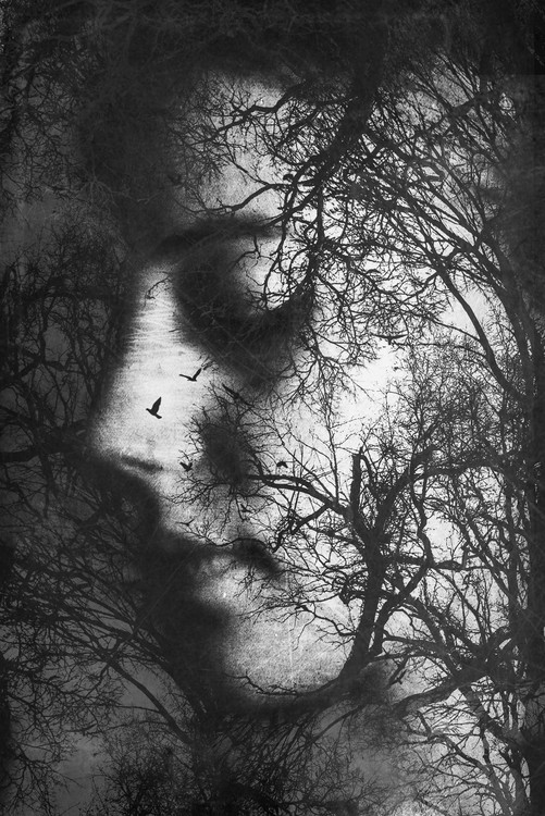 Poster Forest Thoughts