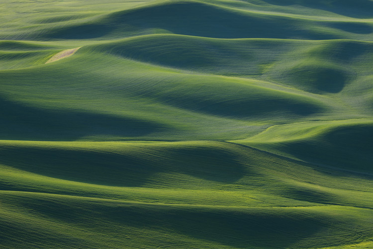 Canvas Print The Earth's Fine Skin