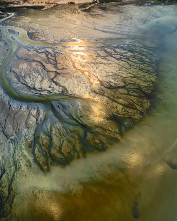 Canvas Print The Earth Veins