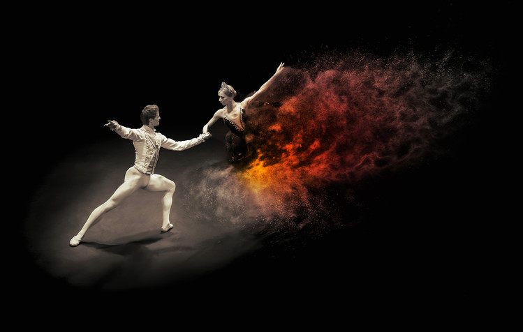 Canvas Print Dance With the ...