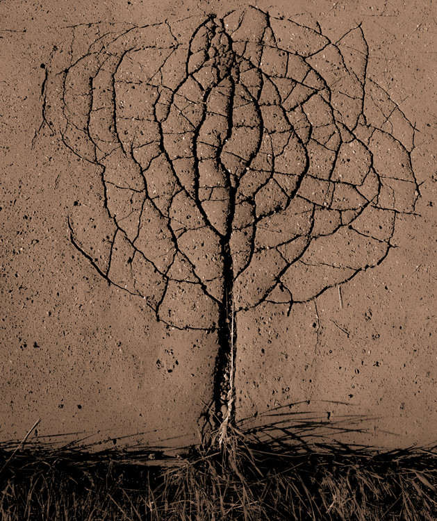 Levně Plakát, Obraz - Asphalt Tree, Rasto Gallo, 33.5 × 40 cm