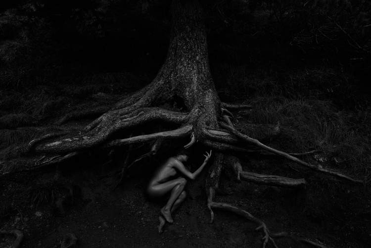 Plakát Born from the Earth