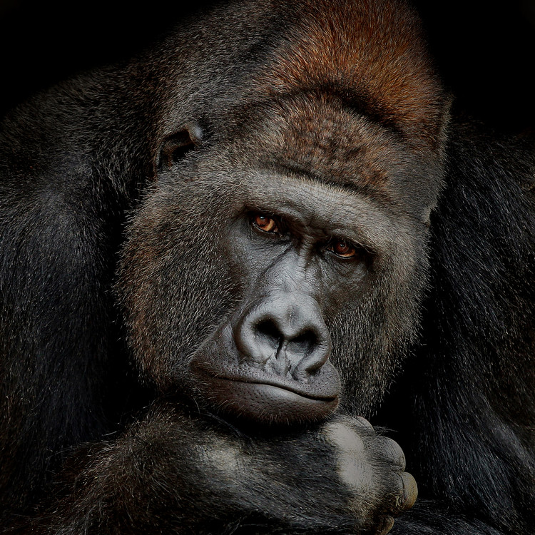 Poster One Moment In Contact