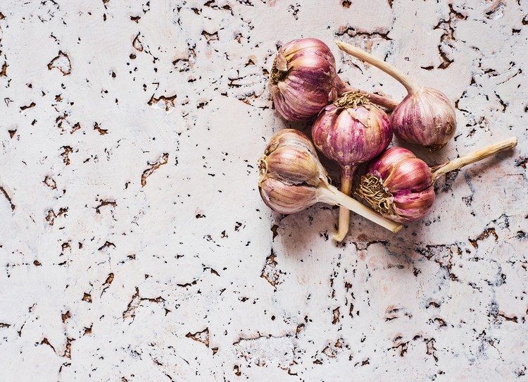 Canvas Print Healthy garlic
