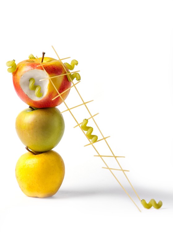 Poster caterpillars
