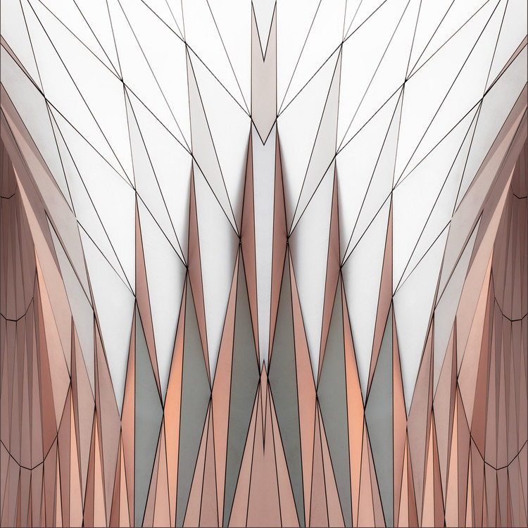 Poster organo leggero