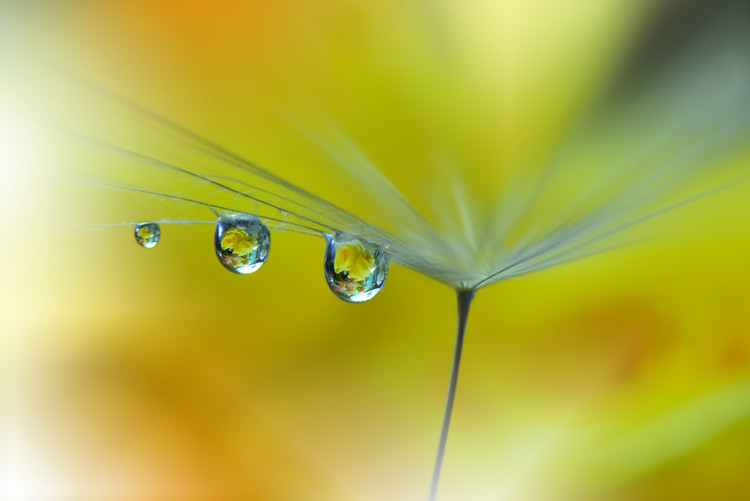 Poster SunBeam...III