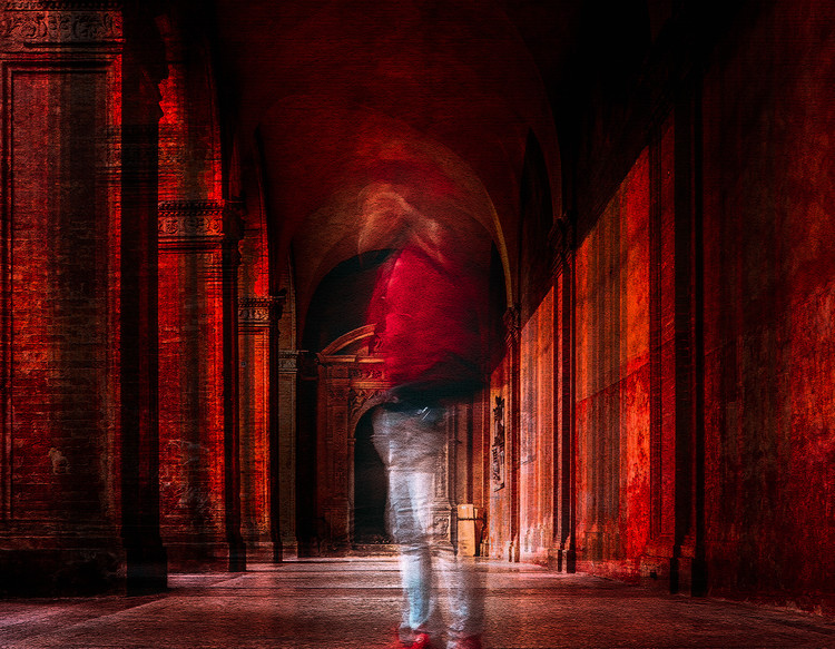 Canvas Print redfluid