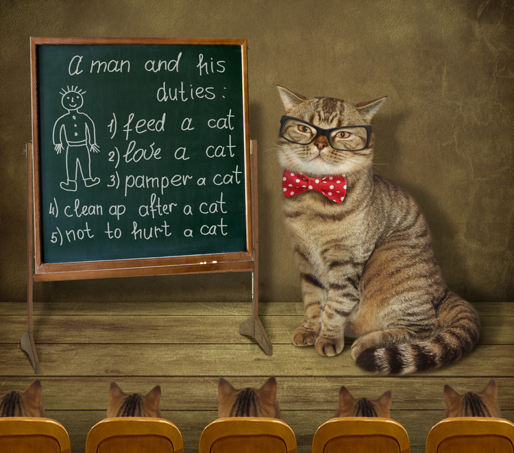 Poster Lecturer... :))