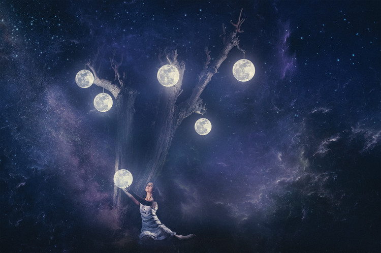 Canvas Print Planet holder