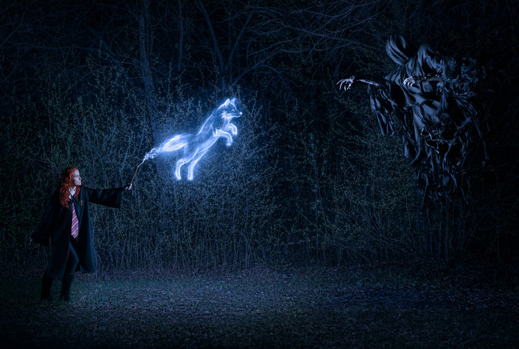 Canvas Print Project: Kiss of death