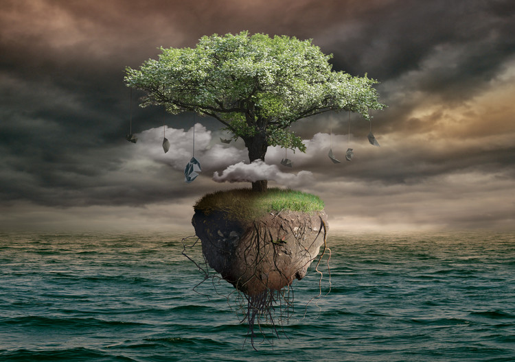 Canvas Print Flying tree