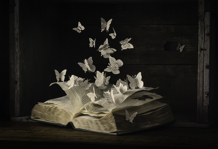 Canvas Print Lepidopterology