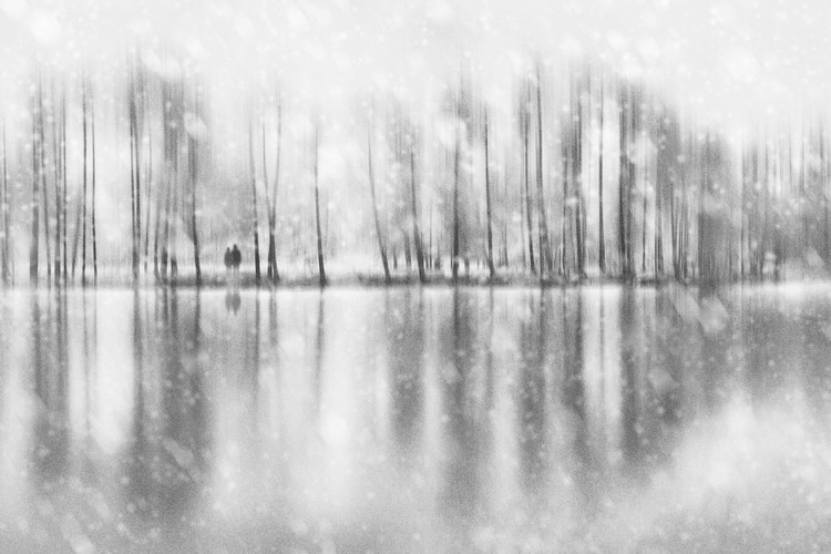 Poster No One Can Save Us