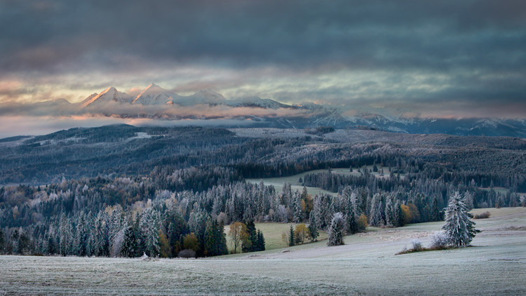 Levně Plakát, Obraz - First touch of winter, Peter Svoboda MQEP, 40 × 22.2 cm