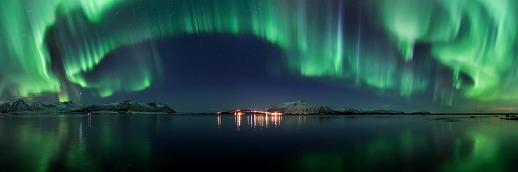 Poster Magical Night