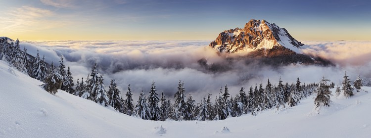 Levně Plakát, Obraz - Golden Peak, Tomas Sereda, 60 × 22.3 cm
