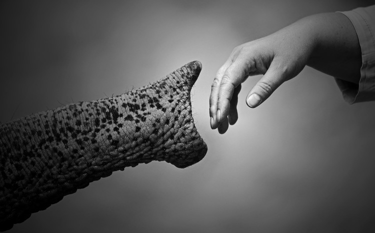 Poster WALKING TOGETHER ....