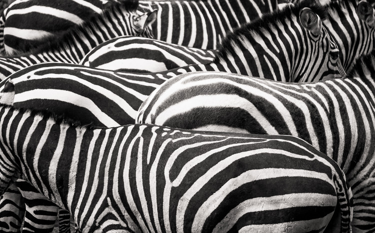 Canvas Print Together