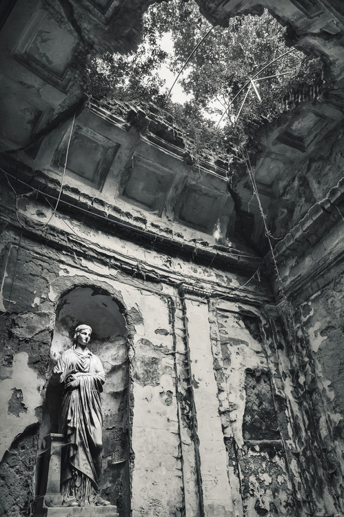 Poster Looking into the past