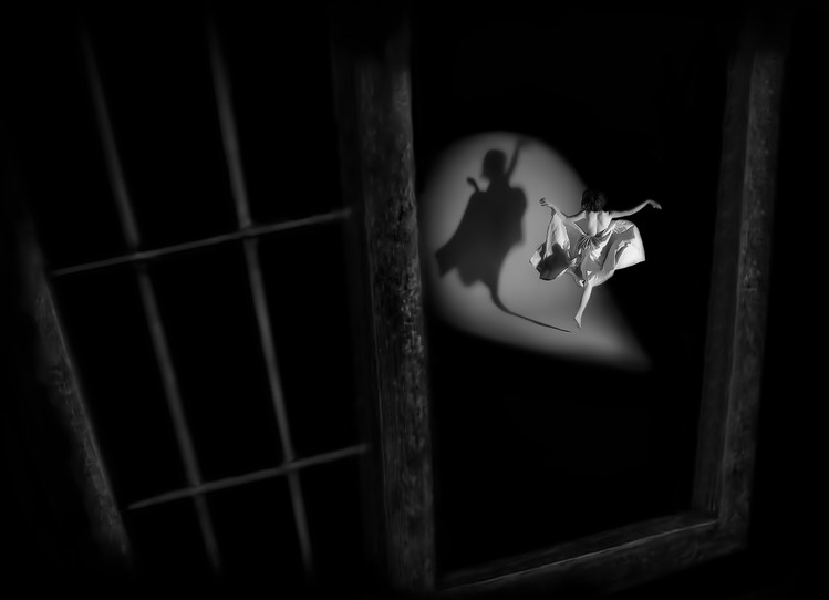 Poster see my shadow