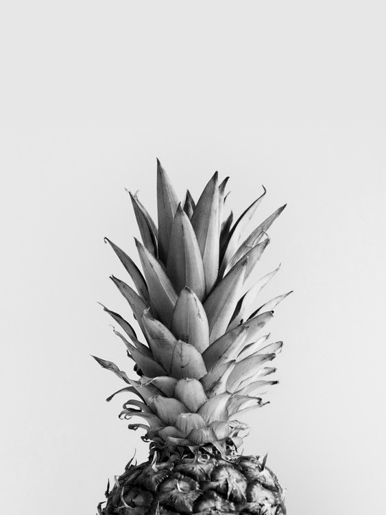 Poster pineappleblackandwhite