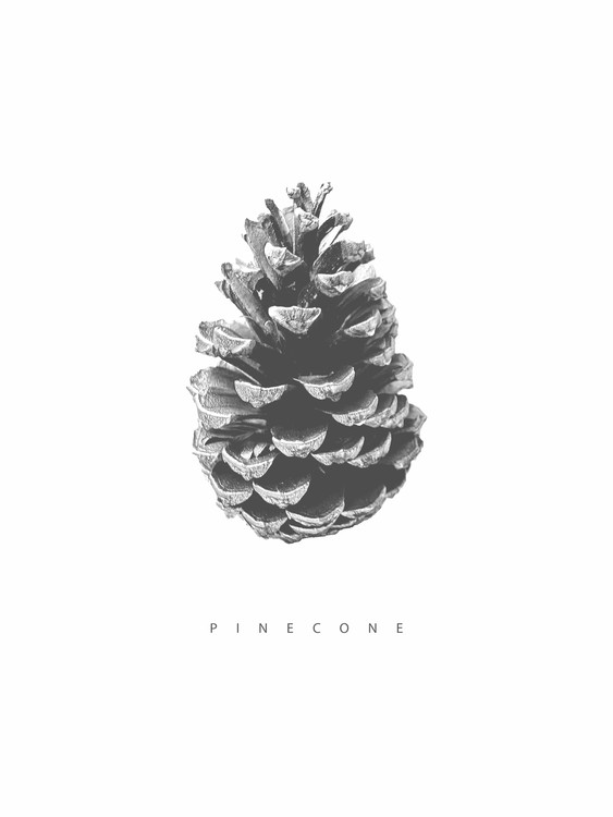 Poster pinecone