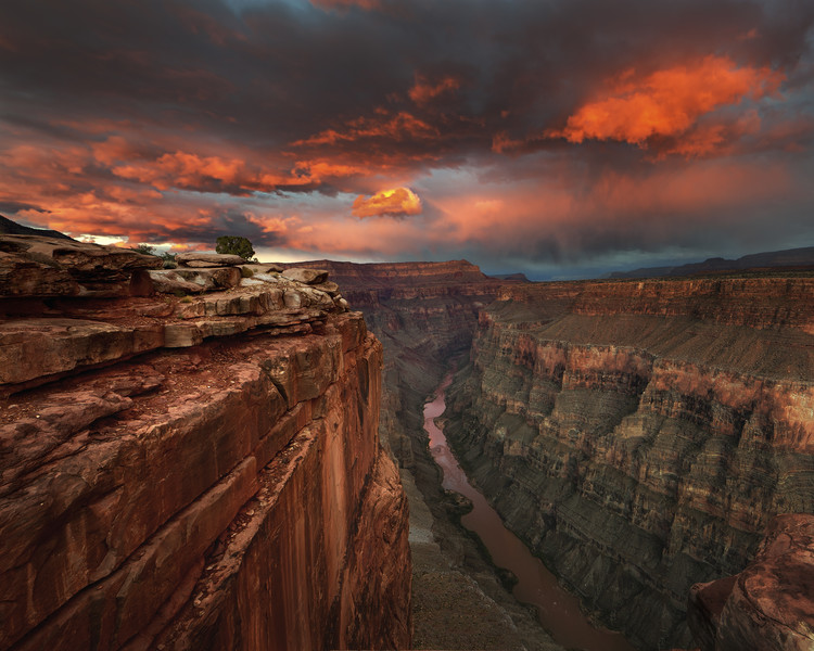 Canvas Print Redemption