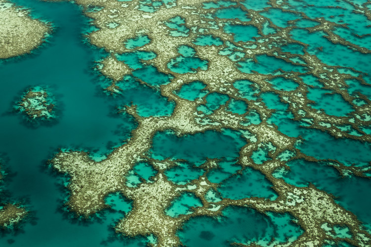 Canvas Print Gondwana