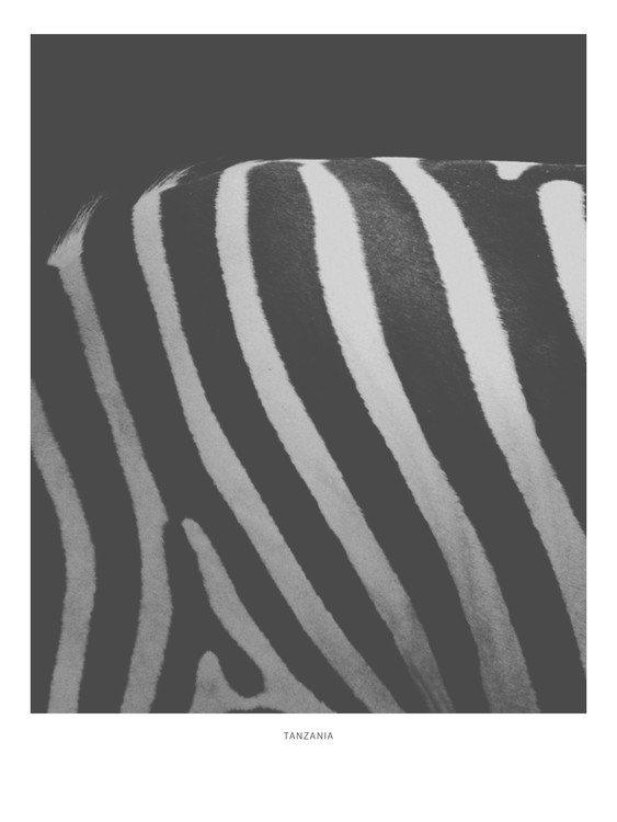 Poster Tanzania5
