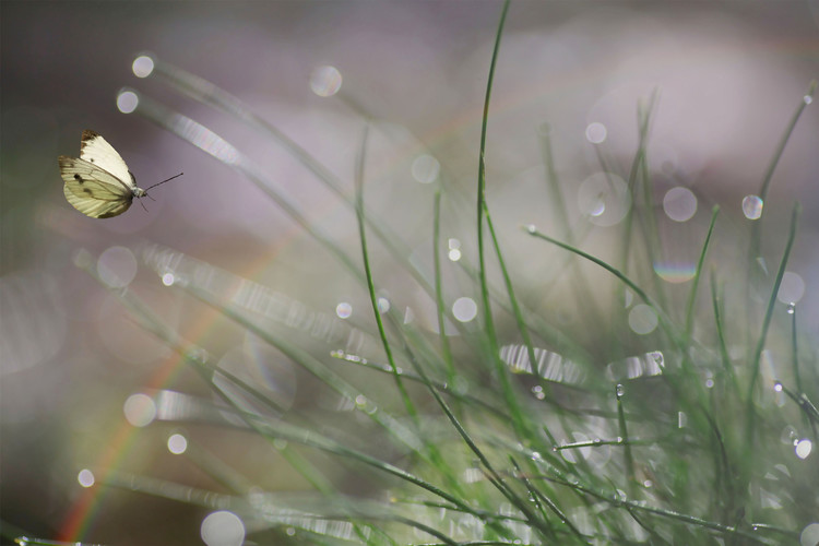 Poster Imminent Landing