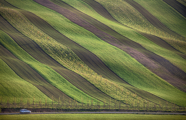 Levně Plakát, Obraz - Stripes in the fields, Peter Svoboda MQEP, 40 × 26.7 cm